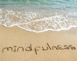 Mindfulness for Healthcare Professionals